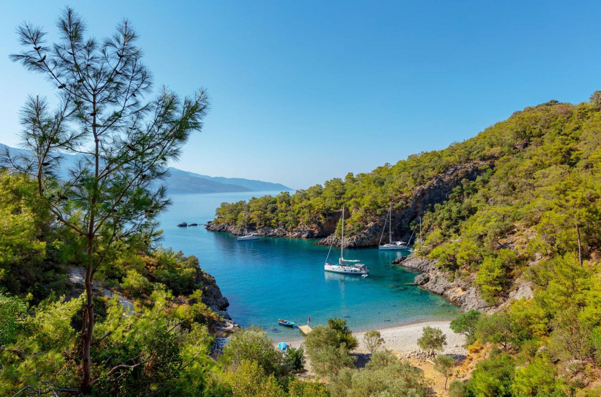 Santana Gocek *